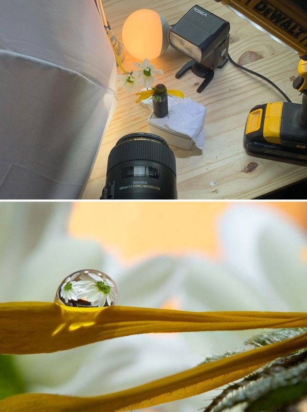 Photographer-makes-amazing-images-using-water-drops-61406a9c21caf__880.jpeg