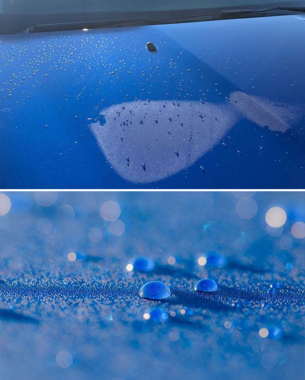 Photographer-makes-amazing-images-using-water-drops-61406a9dc0742__880.jpeg