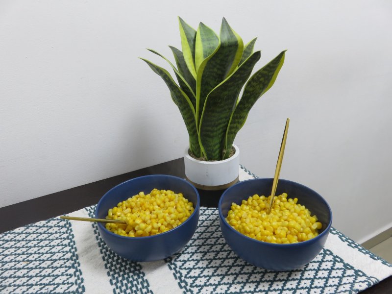 WhatsApp Image 2022-01-30 at 12.56.48 (5).jpeg