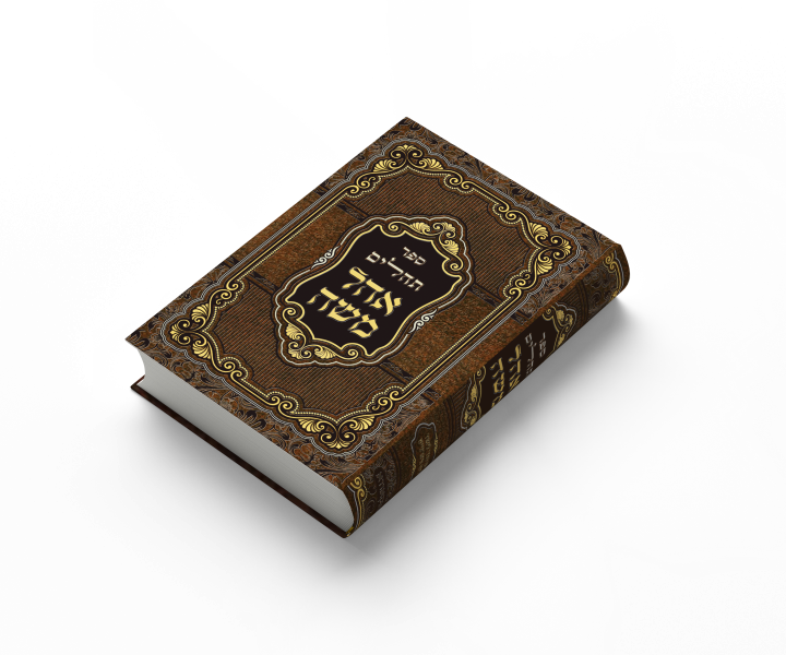 הדמיה תהלים אהל משה שוכב בודד - ללא רקע - חדש.png