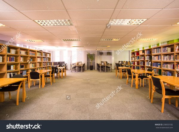 stock-photo-view-of-an-empty-library-258033182.jpg