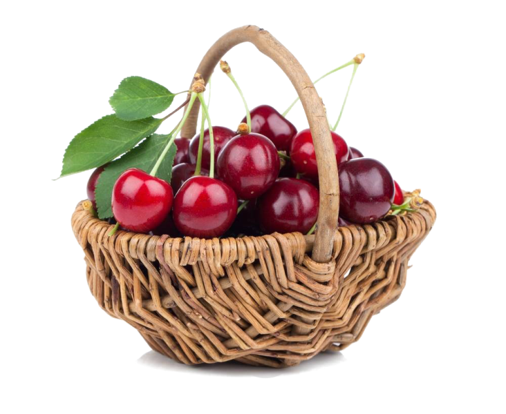 kisspng-black-cherry-stock-photography-fruit-berry-cherry-5a9213317e50f9.4478397115195226095174.png