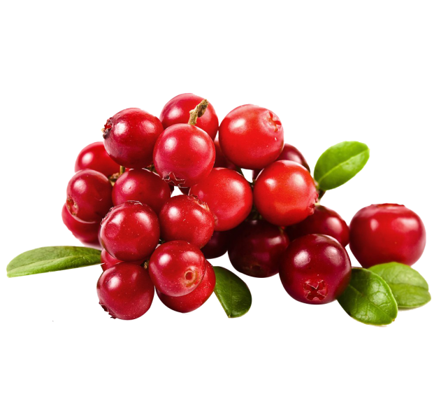 kisspng-cranberry-juice-fruit-cherry-png-picture-material-5a99f23984fe19.1359599915200384575447.png