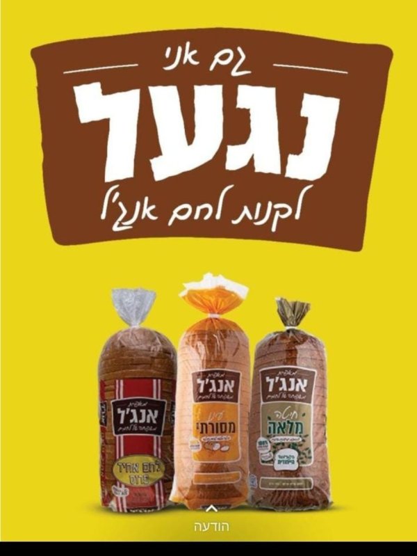 _אנגל6.jpg