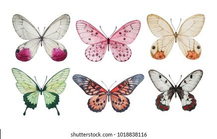 collection-watercolor-butterflies-isolated-illustrations-260nw-1018838116 (1).jpg