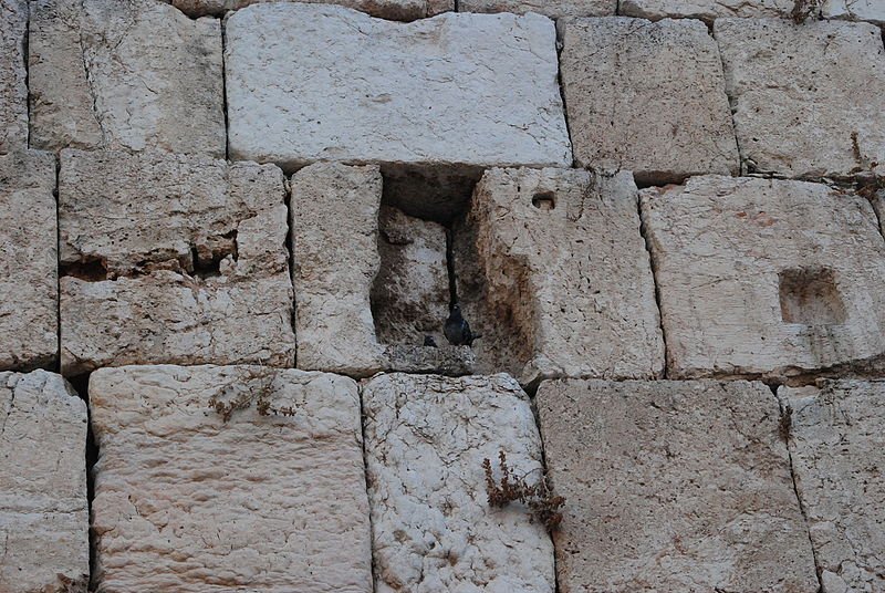 PikiWiki_Israel_44791_Tisha_BAv_at_the_Western_Wall.JPG