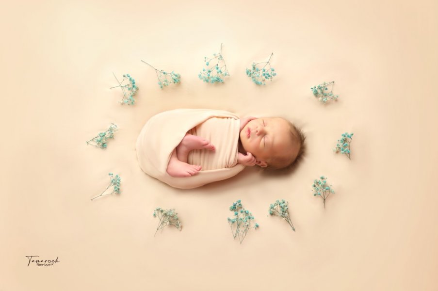 צילום מסך 2023-11-02 152833.jpg