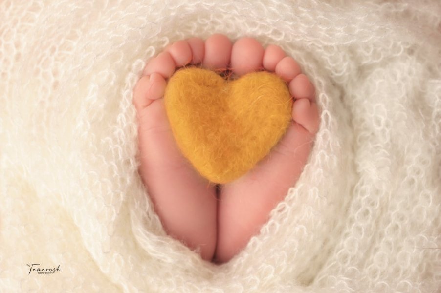 צילום מסך 2023-11-04 201123.jpg