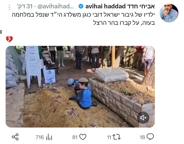 IMG_20231116_125443.jpg IMG_20231116_125443.jpg