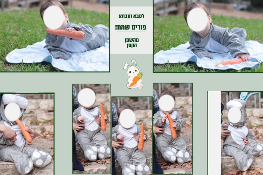 פורים שפן.jpg