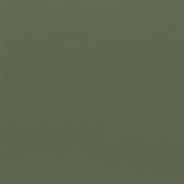 Ref_ RM20 - Olive green by Cover Styl'.JPG