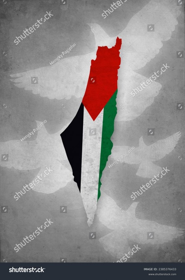 stock-photo-photo-of-a-map-of-palestine-and-a-dove-as-a-symbol-of-freedom-2385376433.jpg