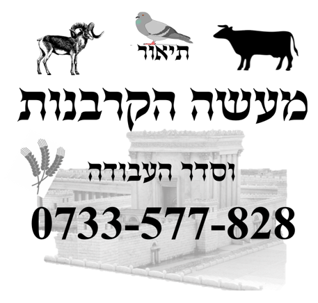 קרבנות.png