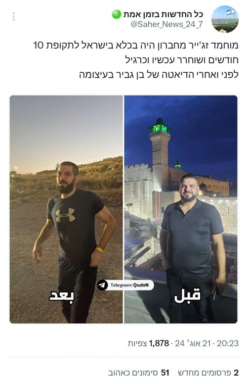 הדיאטה.jpg