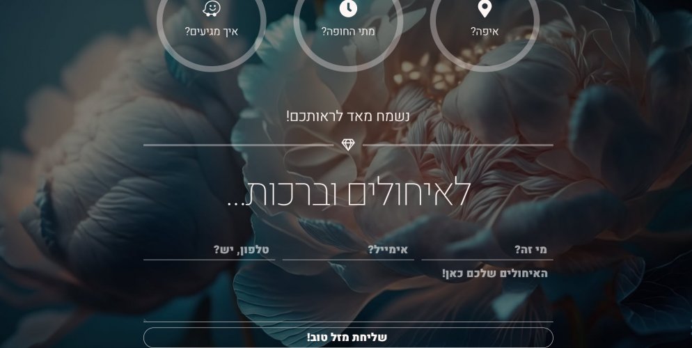 הזמנה אינטרנטית 3.jpg