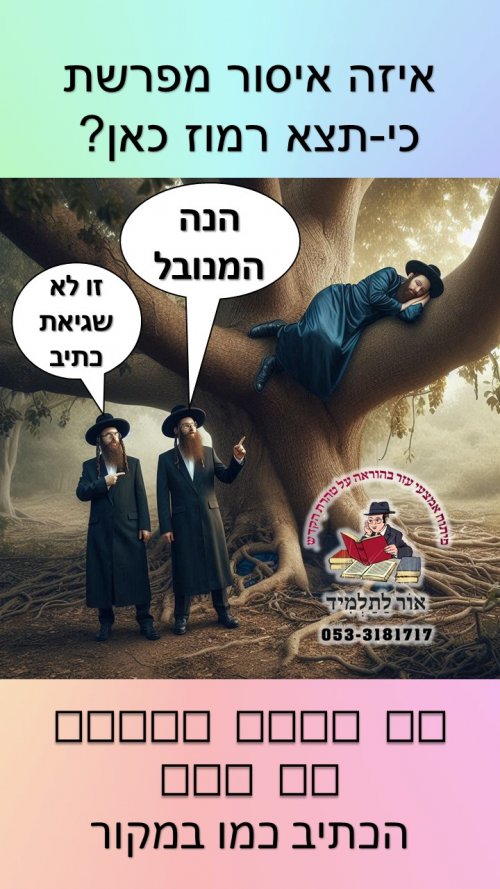 שקופית3.JPG