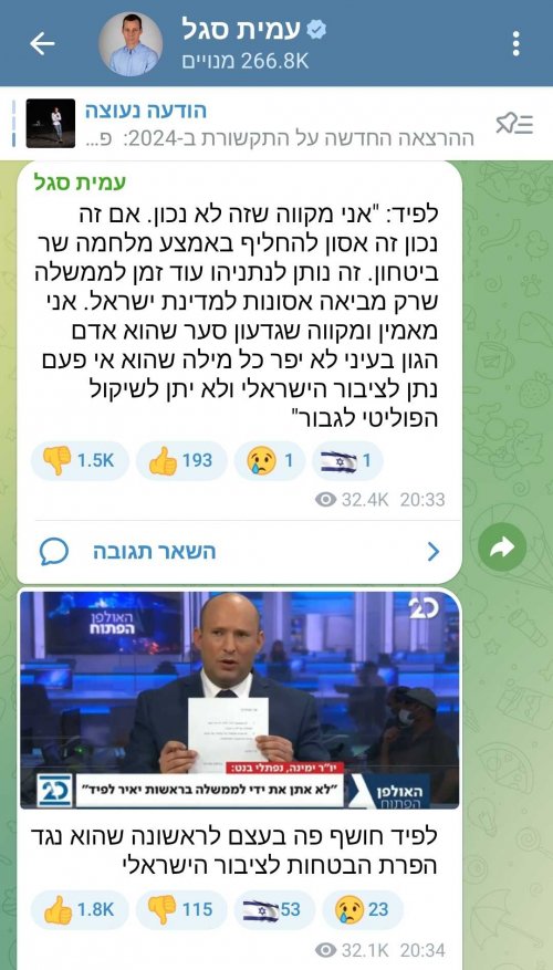 עמית סגל.jpg