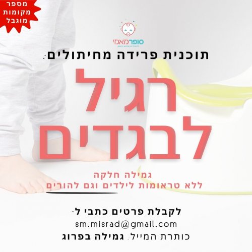 סדנת זום לפרידה מחיתולים לקראת סוכות