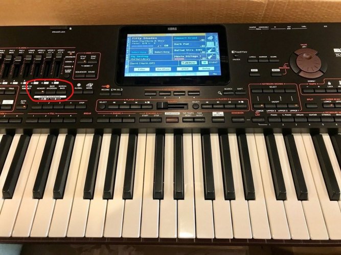 korg-pa4x-61-professional-arranger-61-key--1000x1000.jpg