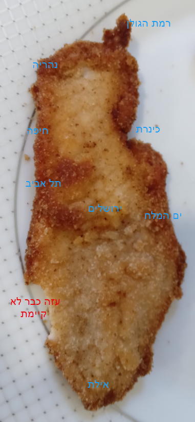 ה_מפת_השניצל.png