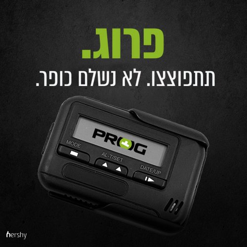 166e9a2391bebb העתק.jpg