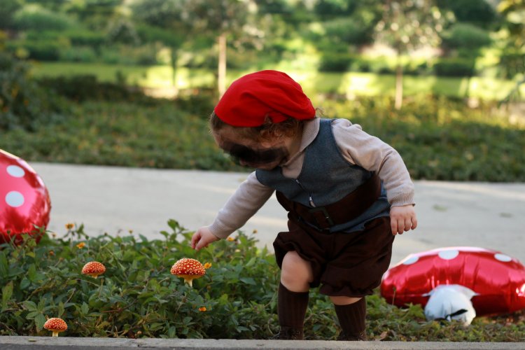 IMG_9973 מעובד~2.jpg