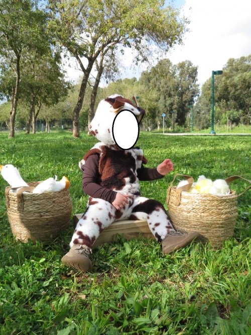 תמונה של WhatsApp‏ 2024-12-09 בשעה 11.50.05_7e985460.jpg