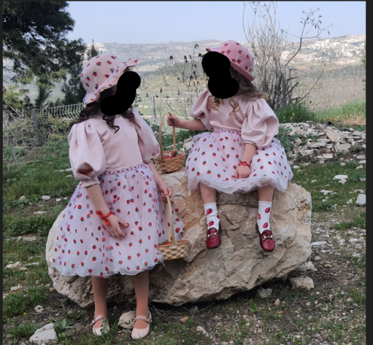 מלכת התותים.png