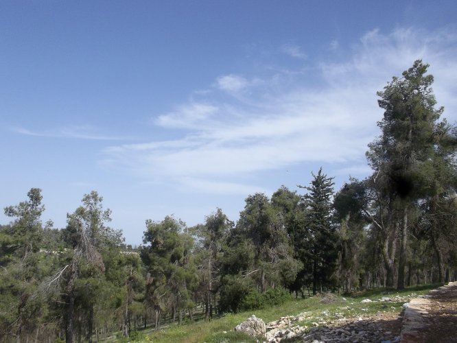 מחלקת שיקום ההיסטוריה