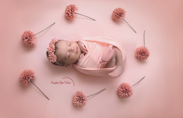 צילום מסך 2025-01-14 190945.jpg