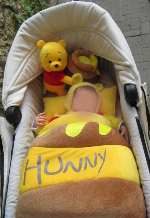 תחפושת פו הדב בתוך העגלה2.jpg