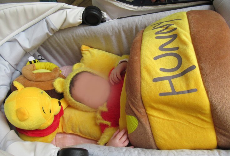 תחפושת פו הדב בתוך העגלה3.jpg