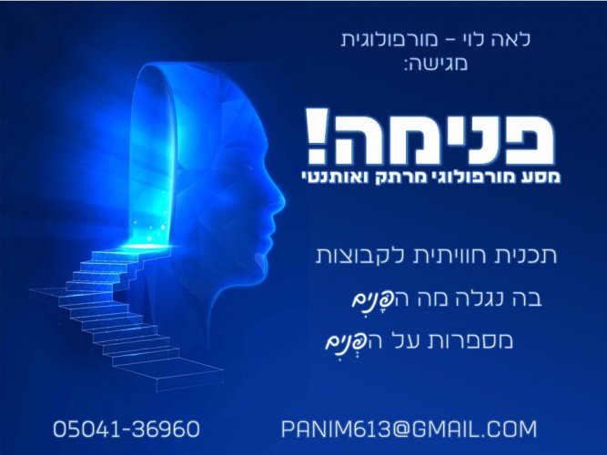 תוכנית חוויתית לקבוצות