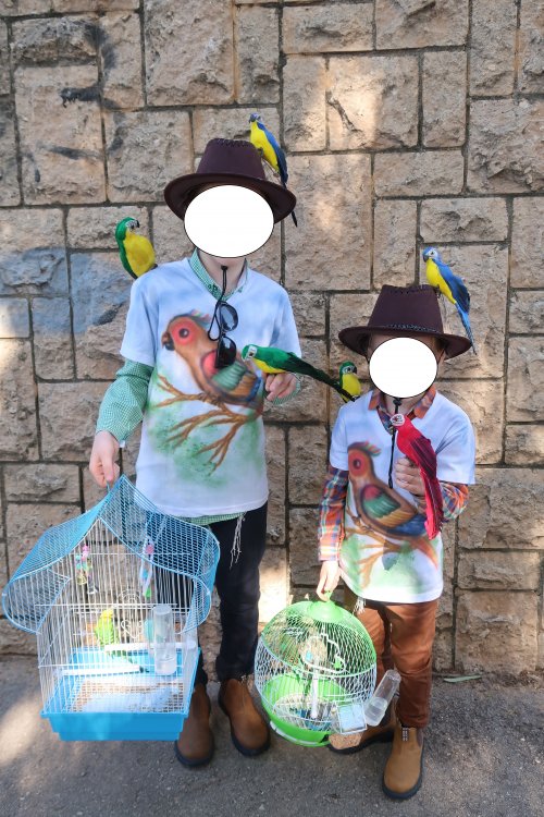 מאלפי תוכים.jpg