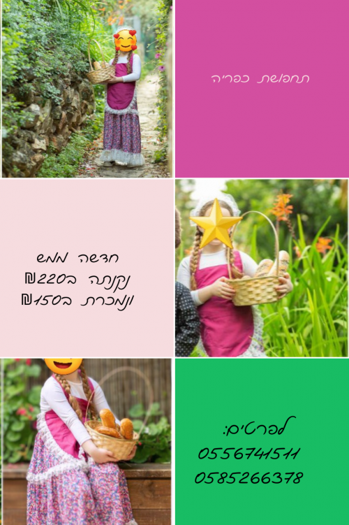 תחפושת כפרייה.png
