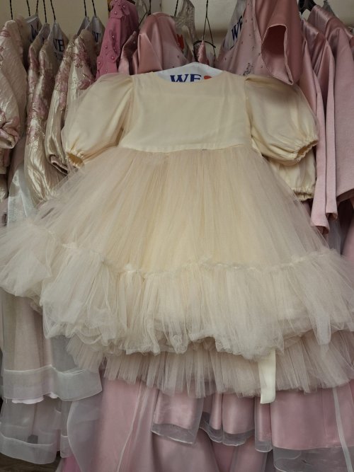 IMG-20250201-WA0097.jpg IMG-20250201-WA0097.jpg