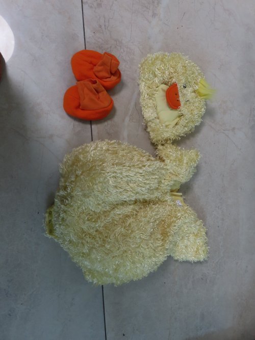 אפרוח גיל שנה.JPG