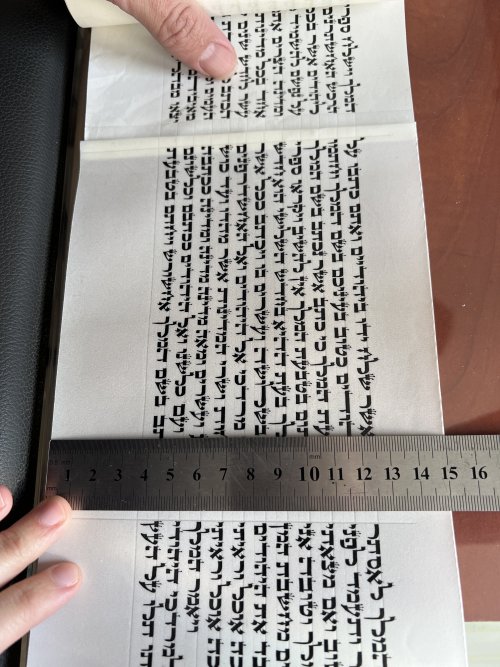 מגילת אסתר ב"י 11 שורות