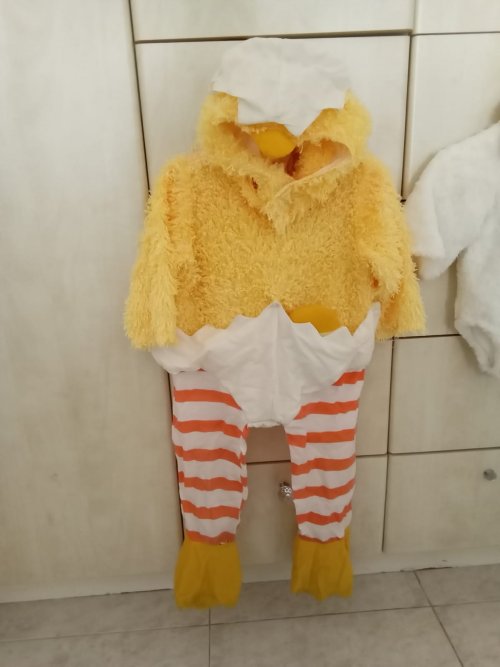 אפרוח גיל 2-3.jpg