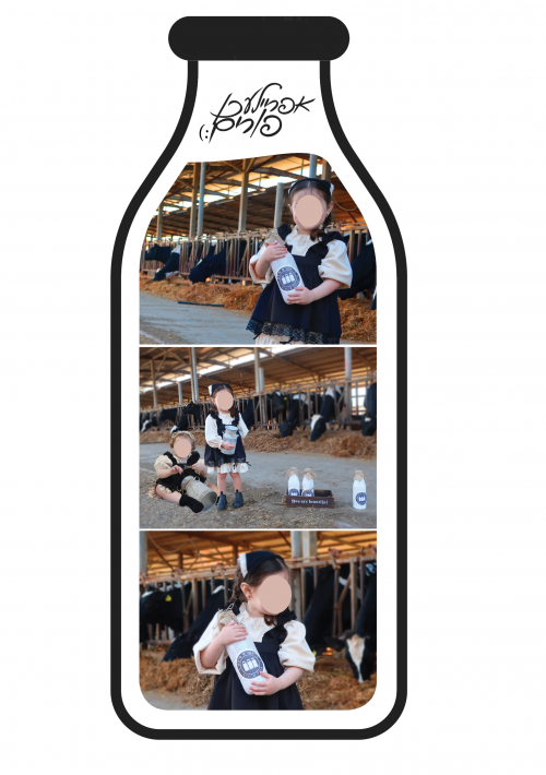 למכירה חלבניות.png