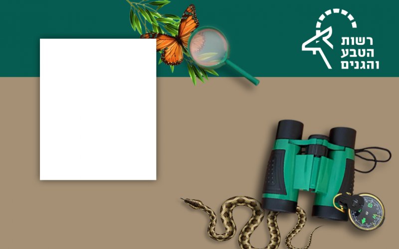 חוקר טבע 1.jpg