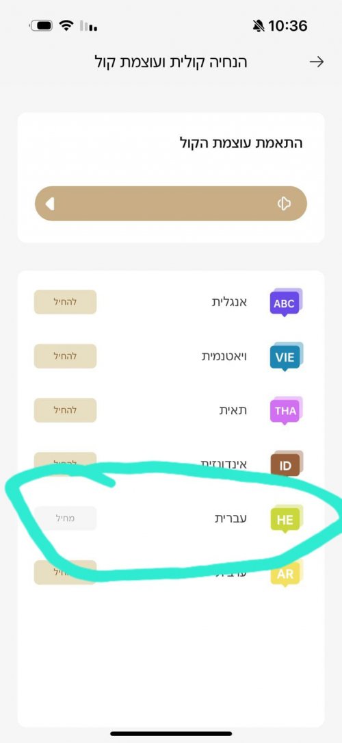 WhatsApp Image 2025-02-23 at 16.51.05.jpeg