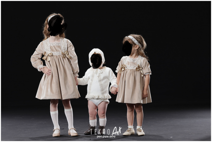 תמונה לפרוג.png