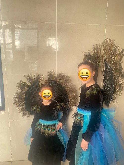 תחפושת טווס