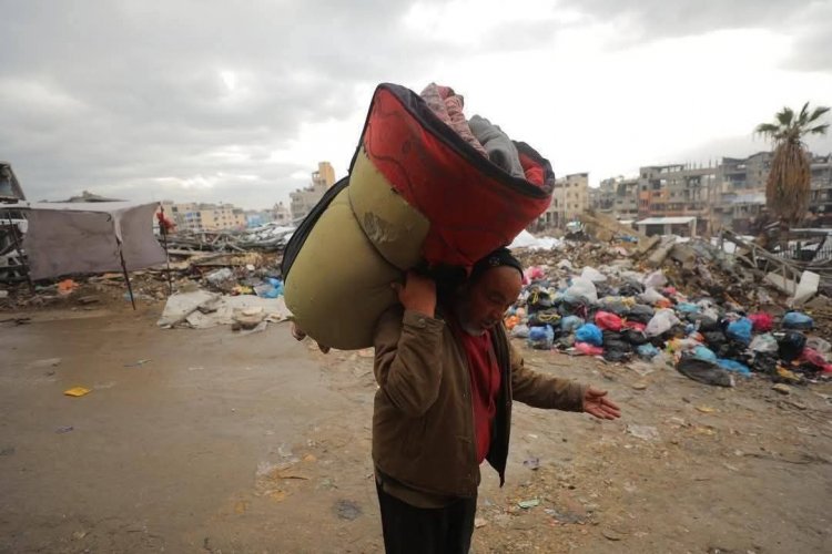 IMG_20250228_115807_553.jpg IMG_20250228_115807_553.jpg