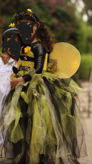 תחפושות כוורן, דבש, דבורה מהממת, ופרח סט מושלם להשכרה