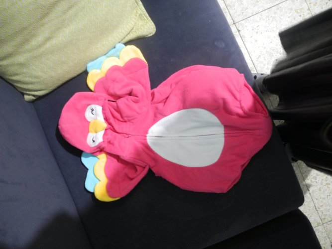 DSCN9736.JPG