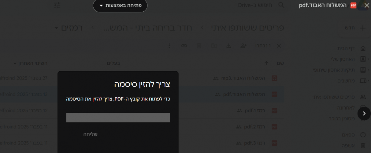 צילום מסך 2025-03-12 110648.png