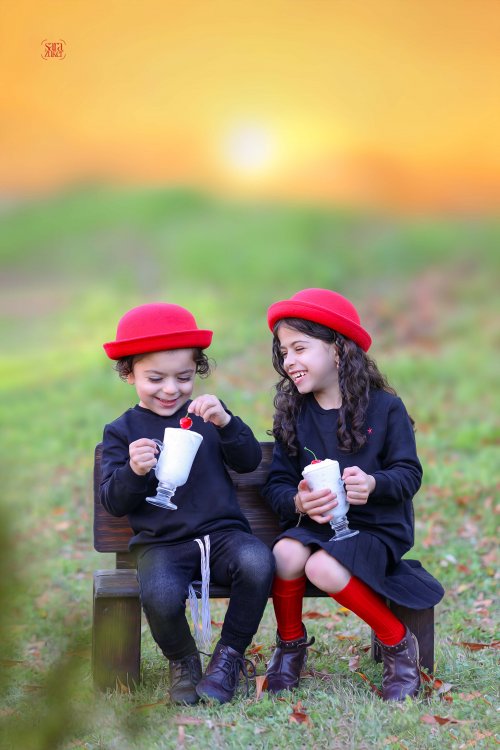 צילום שרה צוקר 5 0527695445.jpg3.jpg
