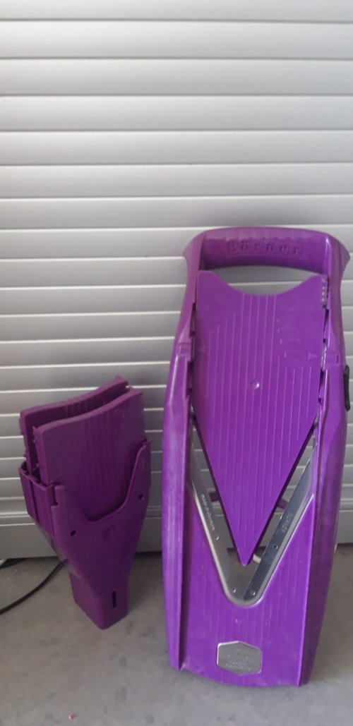 מנדולינה בורנר.jpeg